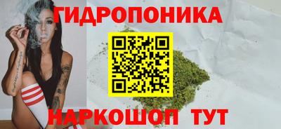 гашик Мариинск
