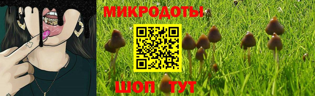 Сокол  Псилоцибиновые грибы мицелий  Вход с VPN  Псилоцибиновые грибы прущие грибы 