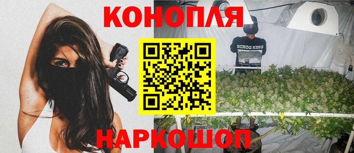 Сокол  Марихуана OG Kush  Бошки марихуана конопля  Вход с VPN  Каннабис гибрид 