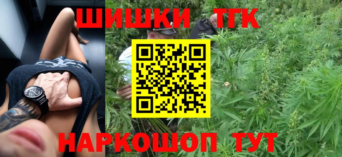 Конопля конопля Сокол